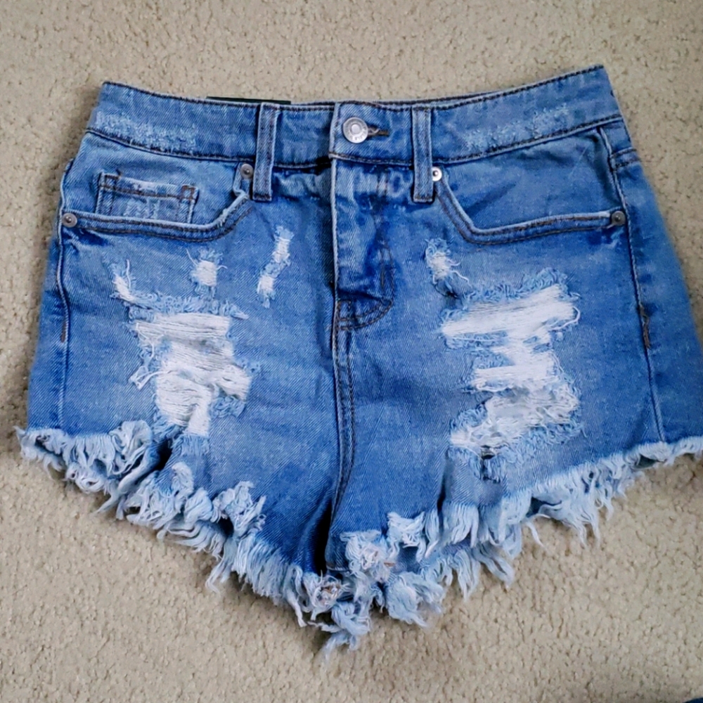 Wild Fable Distressed Shorts